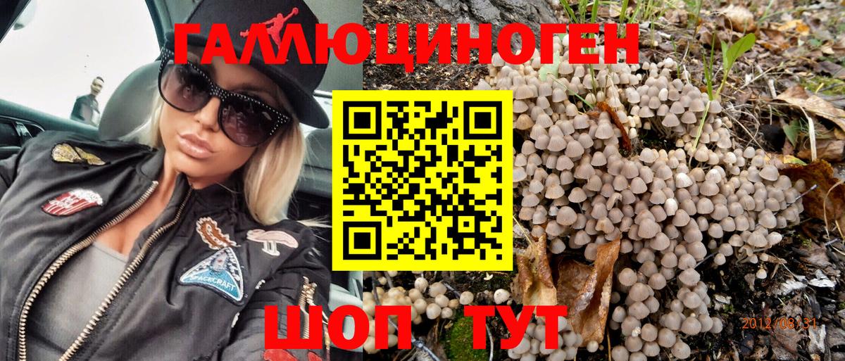 Галлюциногенные грибы мицелий  купить  цена  Мурманск  Вход с VPN 