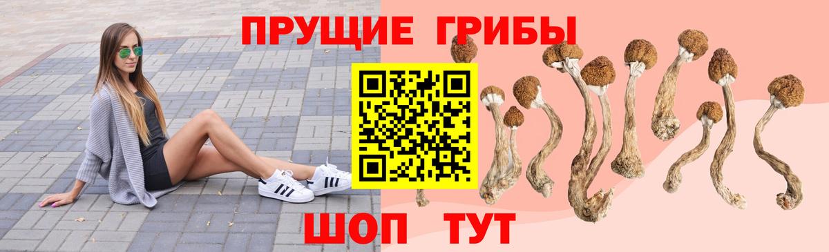 Псилоцибиновые грибы Cubensis Мурманск